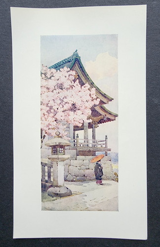 Antique 1908 print - antique,
