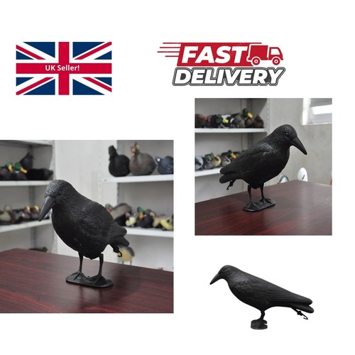 Bird repellent black - repellent,
