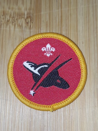 Scouting cub scout activity - scouting,
