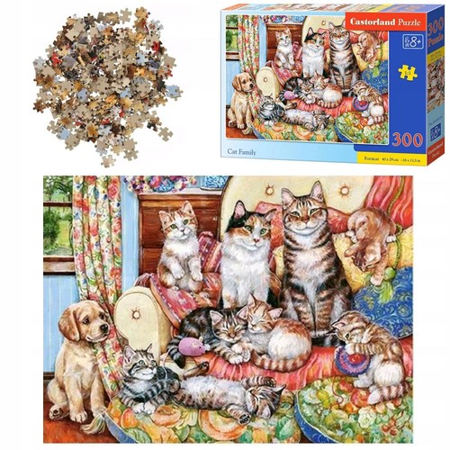 300 piece jigsaw - piece,
