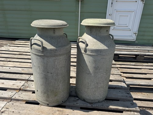 Gallon milk churns - x,