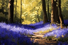 Bluebell Woodland Forest