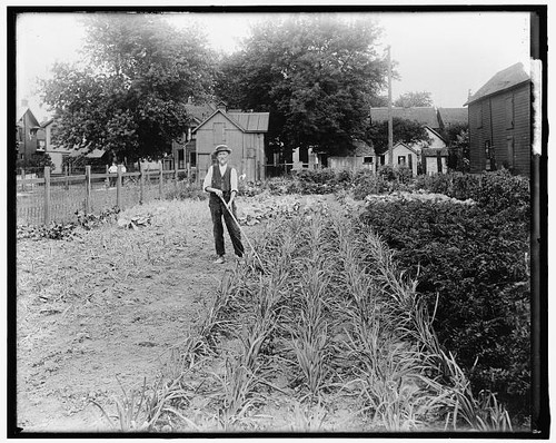 Photo man war garden - photo:man,