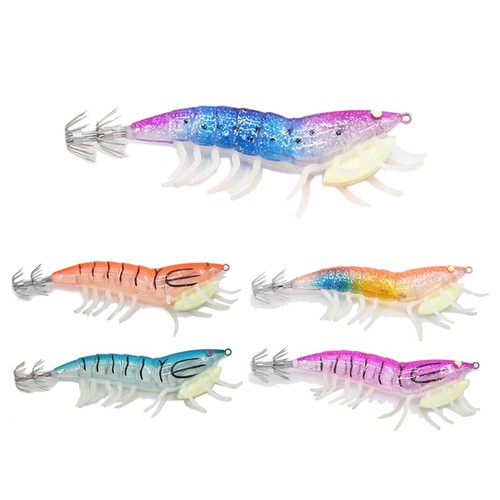 For sea fishing squid - for,