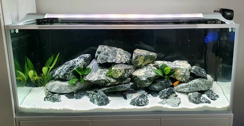 Natural aquarium rock stone - aquarium,