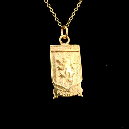 9ct yellow gold large - gold, avfc