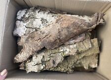 Large Pieces Natural Bark & Wood Pieces For Reptile Vivarium Gecko Spider Snake