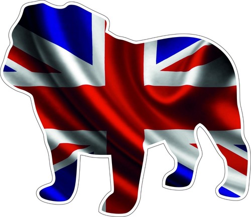 British bulldog union jack - bulldog,