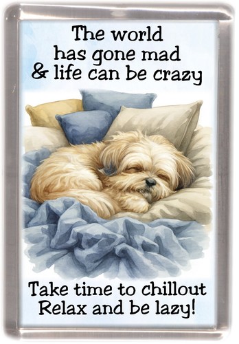 Lhasa apso dog fridge magnet - lhasa,