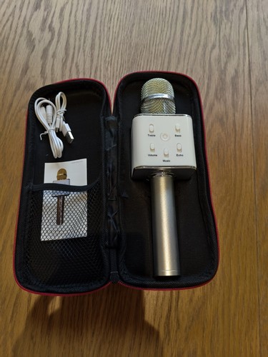 Wireless bluetooth karaoke