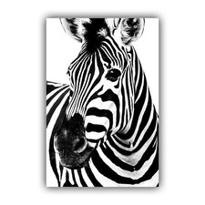BLACK AND WHITE ZEBRA HEAD  -
