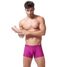 Gregg Homme Boxer Trunk Xcite