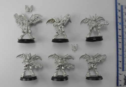 Vespid stingwings 1 - (1, missing