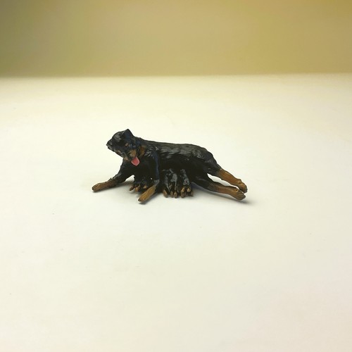 Rottweiler mom puppies 5 - puppies, 2.5"