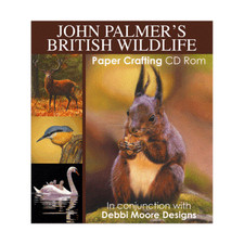 Debbi Moore John Palmer's