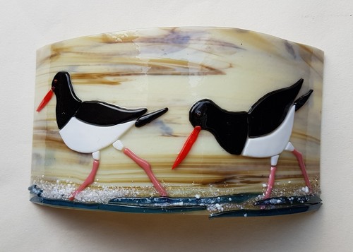 Oystercatchers original fused - oystercatchers,,