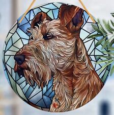 IRISH Lakeland Terrier Dog