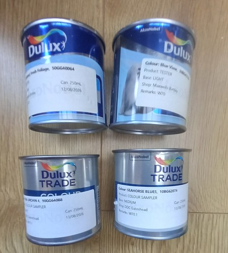 Dulux 250ml paint pots sea - dulux,
