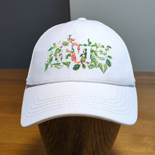 Levi strauss snap back - co,