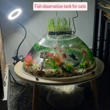 Fish Tank with Cat Bed Underneath for Cats