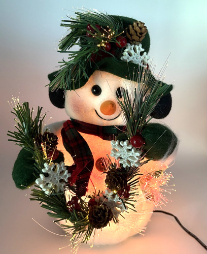Holiday style fiber optic - holiday,