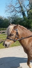 Brown Black Bitless Bridle –