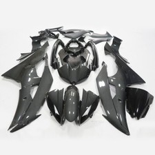 Carbon Fiber Painted Fairing
