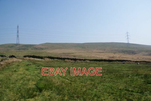 Photo grazing land - ,
