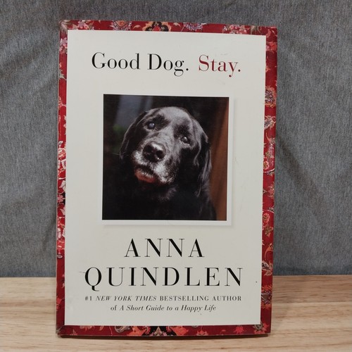 Good dog stay first - good,