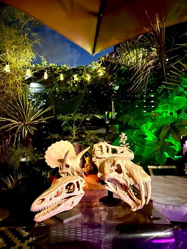 Dinosaur skull replicas - skull,