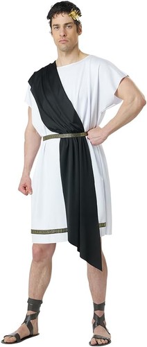 Party toga greek roman man - roman,