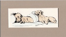 Lucy Dawson ~ Border