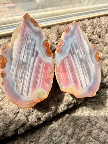 Swazi agate nodule cut - agate,