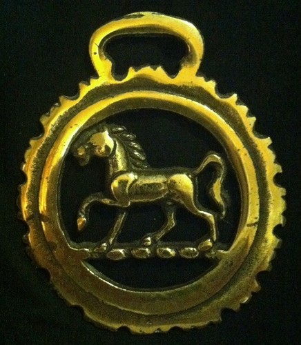 Trotting horse dog - trotting, in