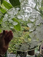 Strawberry Glass Cake Food
