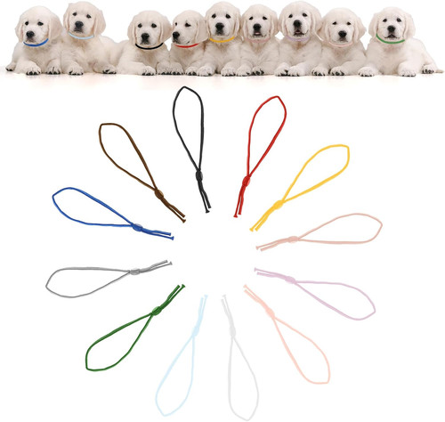 60pcs puppy collars 12 - 60pcs,