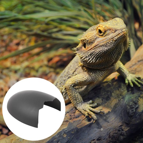 Leopard gecko accessories - leopard,