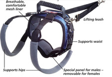 PetSafe Carelift rear support harness for medium dog