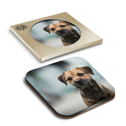 Boxed square coasters - coasters,