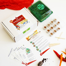 Grow Your Own Chilli Kit - Hot