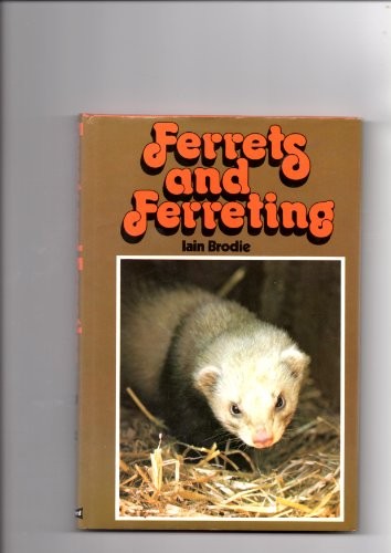 Ferrets and ferreting - ferrets,