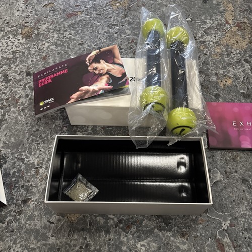 Zumba fitness exhilarate - exhilarate, body