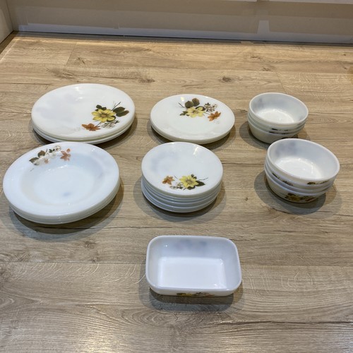 Vintage pyrex autumn glory - autumn,