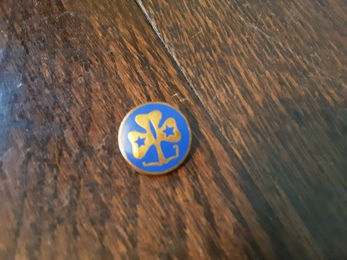 Girl guide promise round - girl,