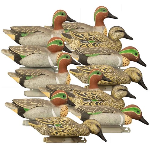 Standard green wing teal - standard,