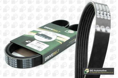 Ribbed belt fits audi - fits,