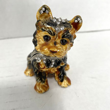 Yorkie Yorkshire Terrier Puppy