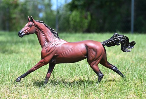 Breyer custom traditional - custom,