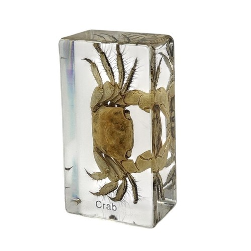 Real crab resin - real,
