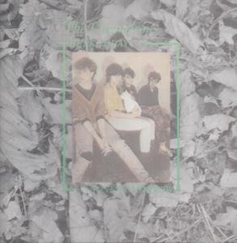 Chameleons here today gone - -, today...gone